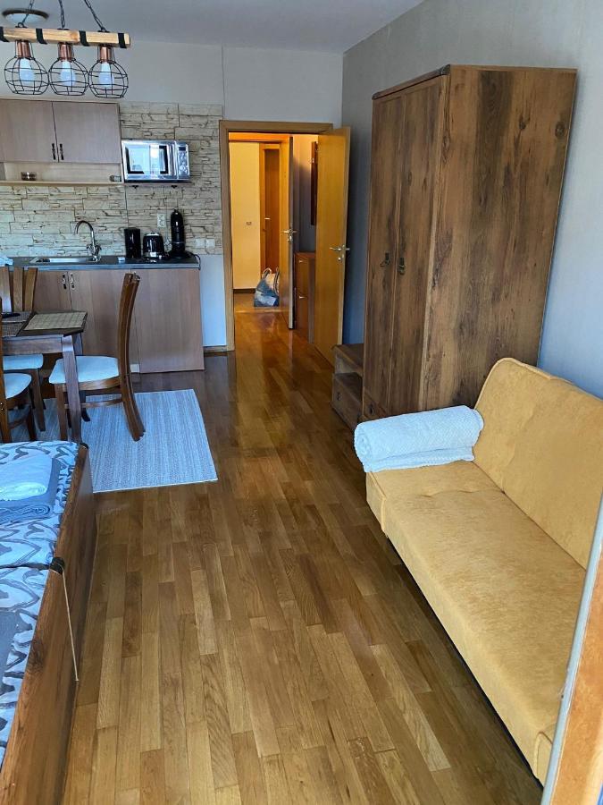 Bansko Spa Studio At Predela1 Extérieur photo