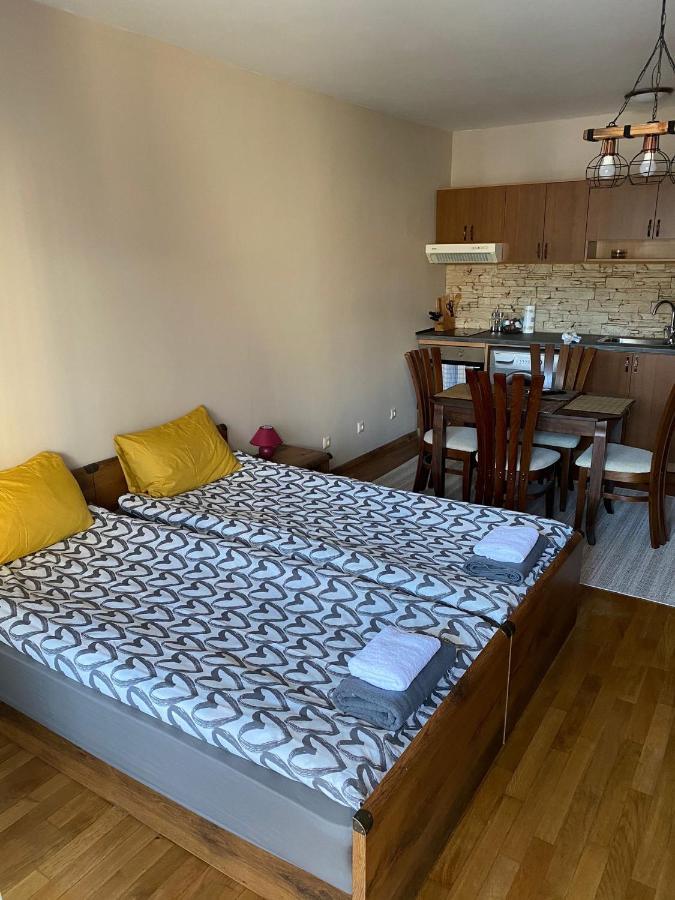 Bansko Spa Studio At Predela1 Extérieur photo